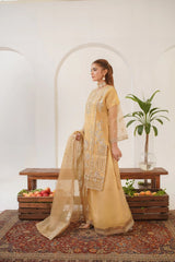 Areej Fancy (Stitched 3 Pcs)