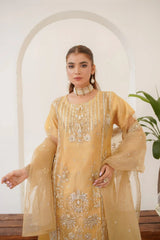 Areej Fancy (Stitched 3 Pcs)